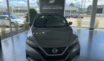 Nissan Leaf S 2018 Charcoal complet