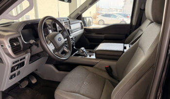 Ford F-150 Lightning 2024 Noir complet