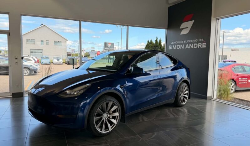 TESLA MODEL Y 2020 (2)
